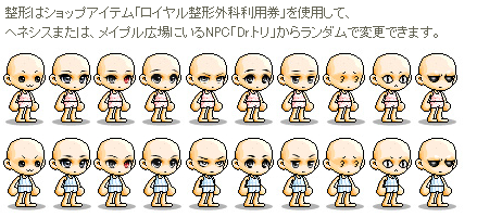 maple110930_003-2.png