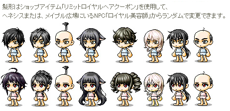 maple110930_003-3.png
