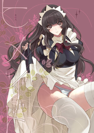 ヒメイド其の弐/0505