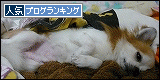 2012430.gif