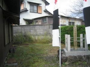 IMG_3967.jpg