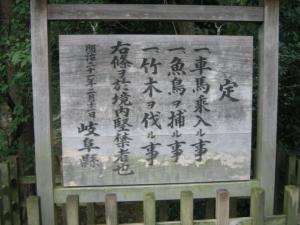 IMG_3971.jpg