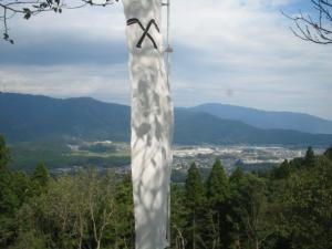 IMG_3972.jpg