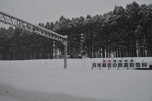 snowbreak for railway at noheji stn, 240211 1-3-s