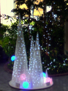 PAP_1336.jpg