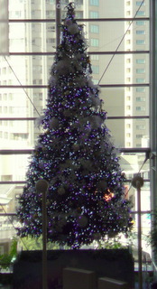 PAP_1337.jpg