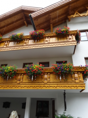 DSC01443.jpg