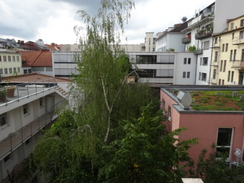 DSC01853.jpg