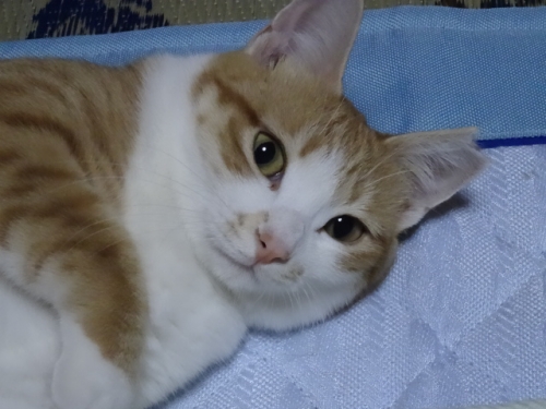 DSC01990.jpg