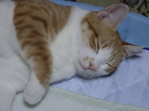 DSC01991.jpg