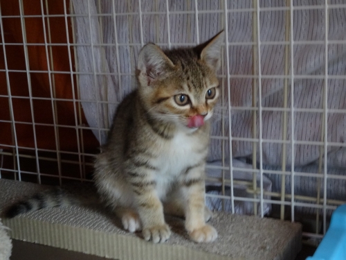 DSC02017c.jpg