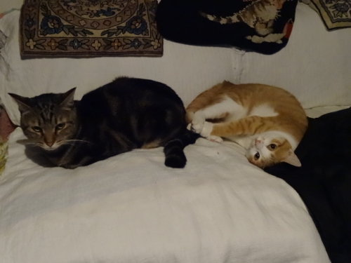 DSC02045.jpg