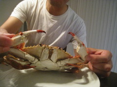 IMG_1110220003.jpg