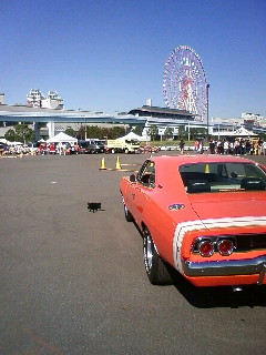 moblog_a8e981f0.jpg