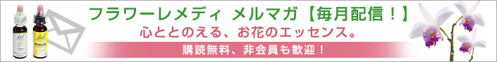 20130117_2782556.jpg