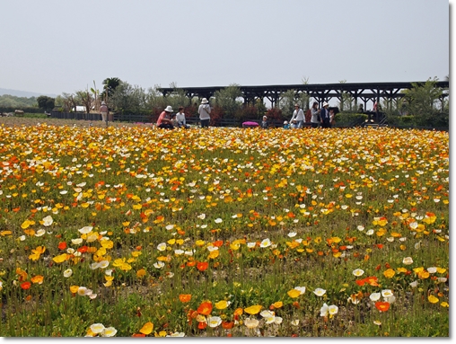 和泉環境リサイクル公園