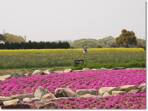 和泉環境リサイクル公園
