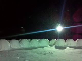 2013-01-30_19-53-47_658.jpg