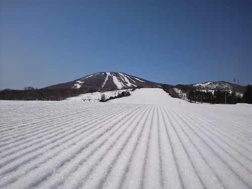 DSC_1345.jpg
