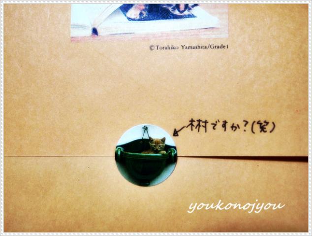youkonojyou5.jpg