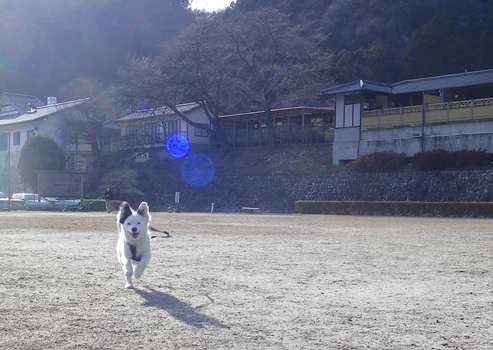 120320 5