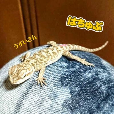 rblog140601q