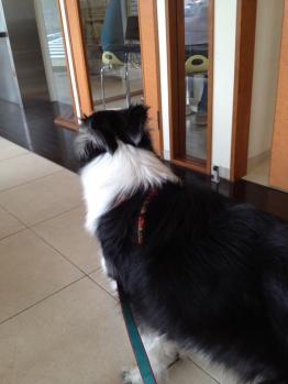 runa_20120419175018.jpg