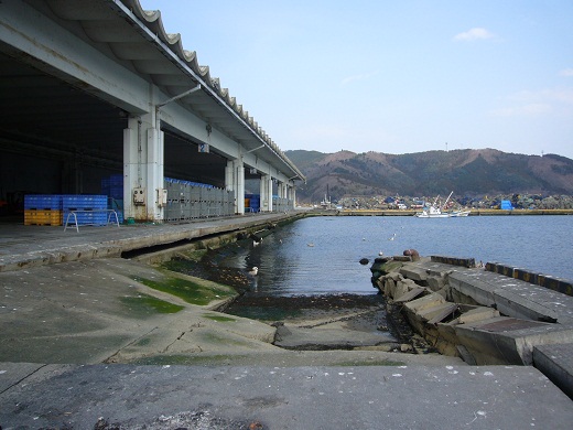 P1010125.jpg
