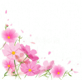 kosumosu098