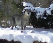 070101_095335_M.jpg