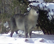 070101_095348_M.jpg