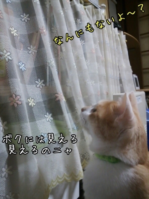 1411352993744.jpg