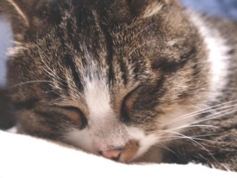 20120116_12_20120313145408.jpg
