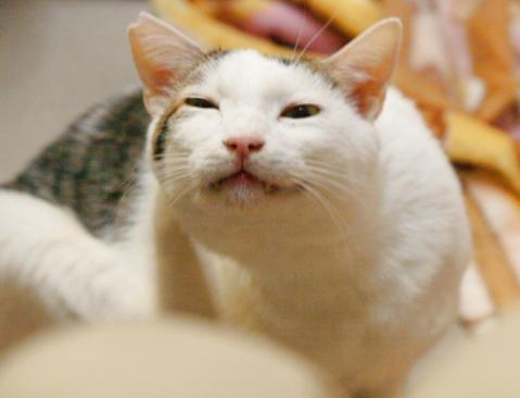 あとにしてねー