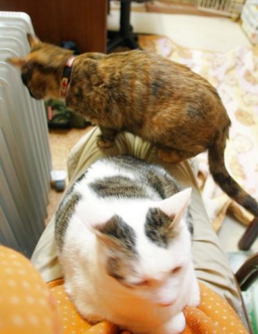 20120220_14.jpg