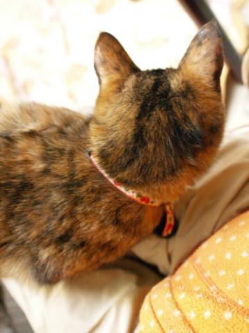 20120220_23.jpg