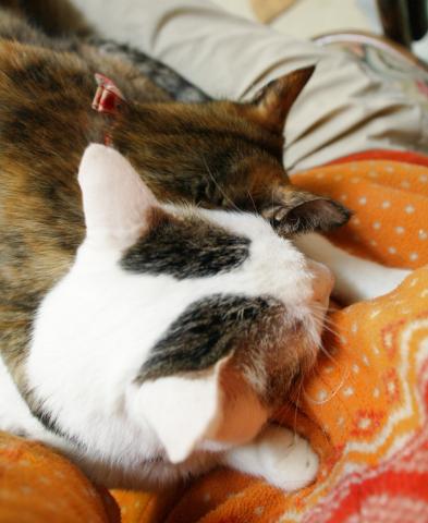 20120220_27.jpg
