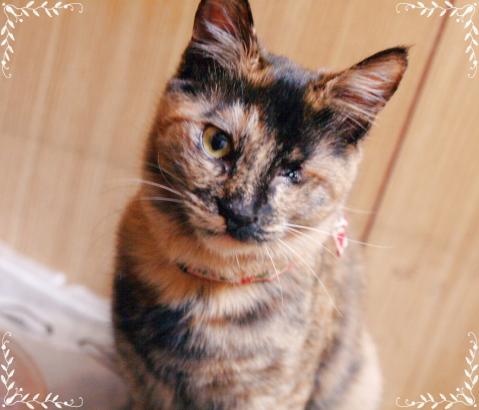 20120228_16.jpg