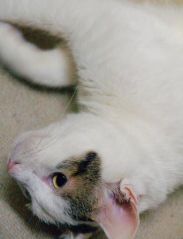 20120318_19.jpg