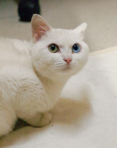 20120322_17.jpg