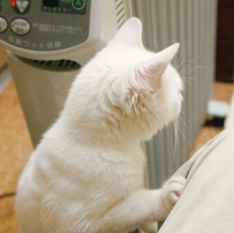 20120322_31.jpg
