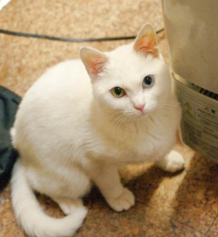 20120322_35.jpg