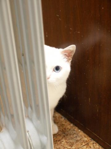 20120322_37.jpg
