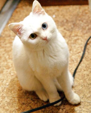 20120322_40.jpg