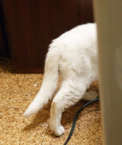 20120322_42.jpg