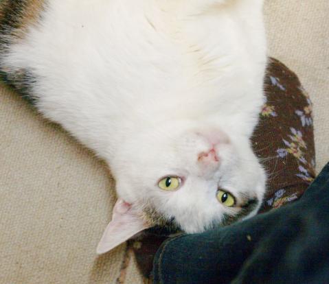 20120330_41.jpg