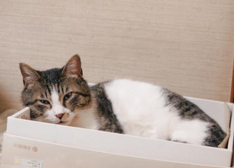 20120330_84.jpg