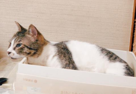 20120330_86.jpg