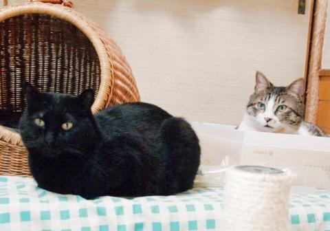 20120330_93.jpg