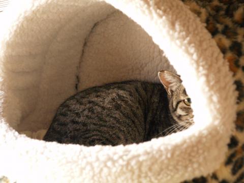 20120402_01_01.jpg